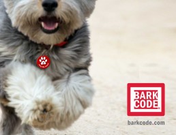 barkcode